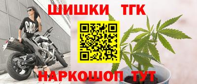 apvp Можга