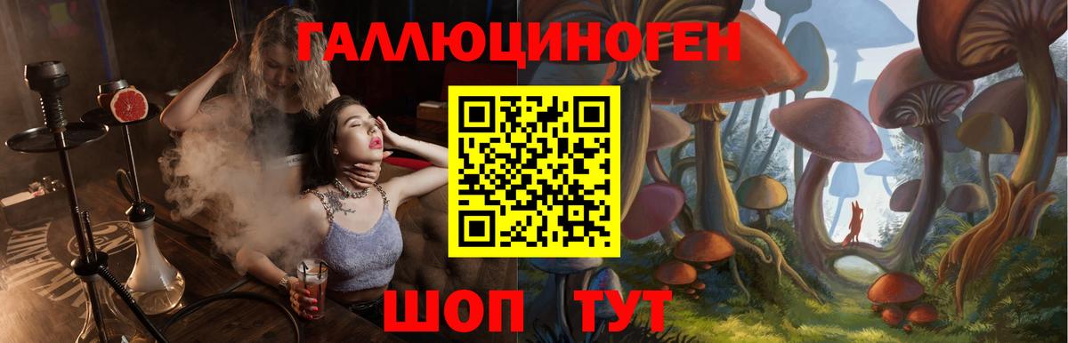 Галлюциногенные грибы ЛСД  Псилоцибиновые грибы Psilocybine cubensis  Вход с VPN  Хасавюрт 